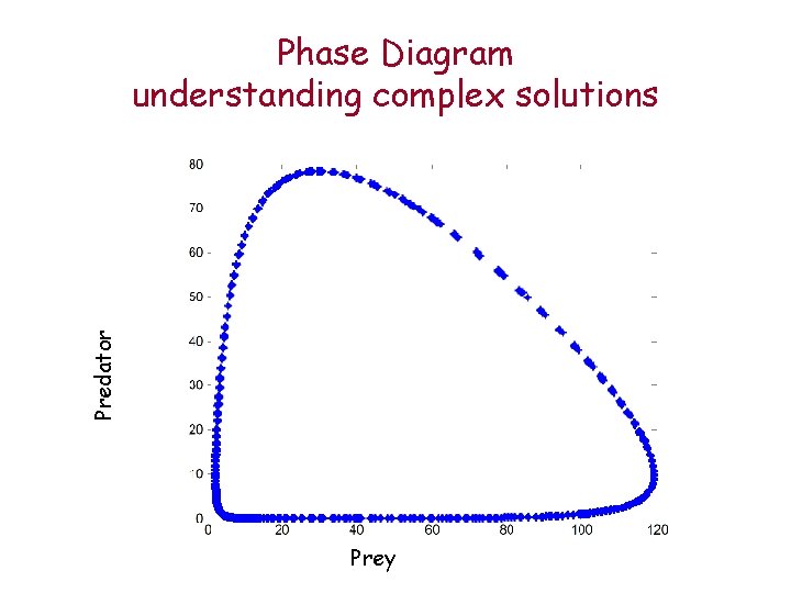 Predator Phase Diagram understanding complex solutions Prey 