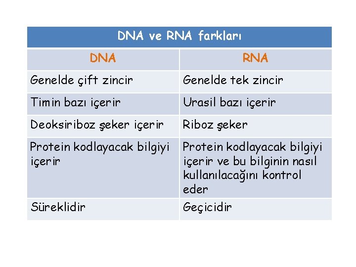 DNA ve RNA farkları DNA RNA Genelde çift zincir Genelde tek zincir Timin bazı