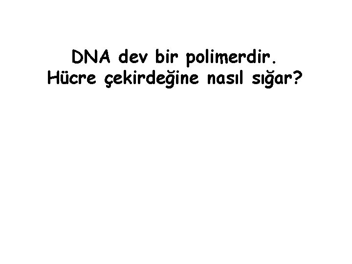 DNA dev bir polimerdir. Hücre çekirdeğine nasıl sığar? 