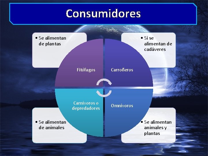 Consumidores • Se alimentan de plantas • Se alimentan de animales • Si se