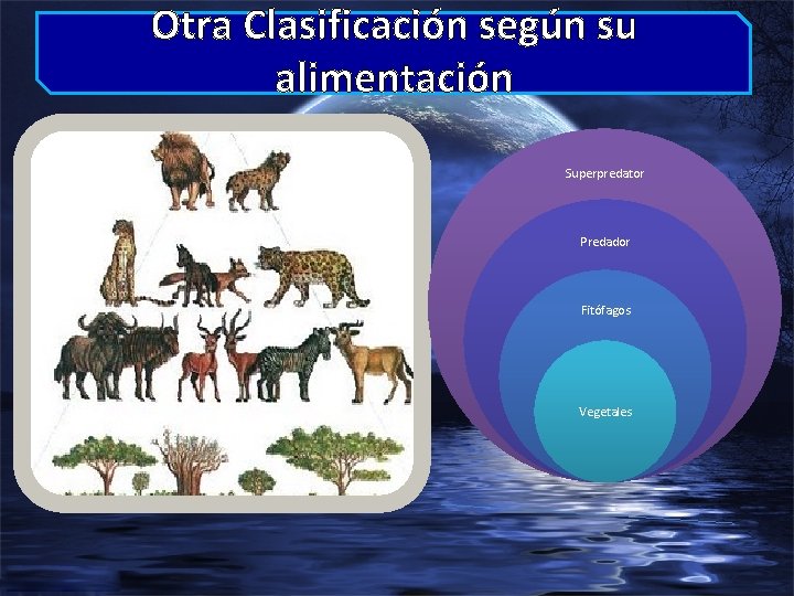 Otra Clasificación según su alimentación Superpredator Predador Fitófagos Vegetales 