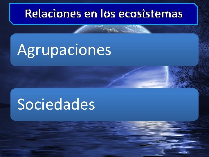 Relaciones en los ecosistemas Agrupaciones Sociedades 