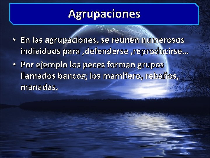 Agrupaciones • En las agrupaciones, se reúnen numerosos individuos para , defenderse , reproducirse…