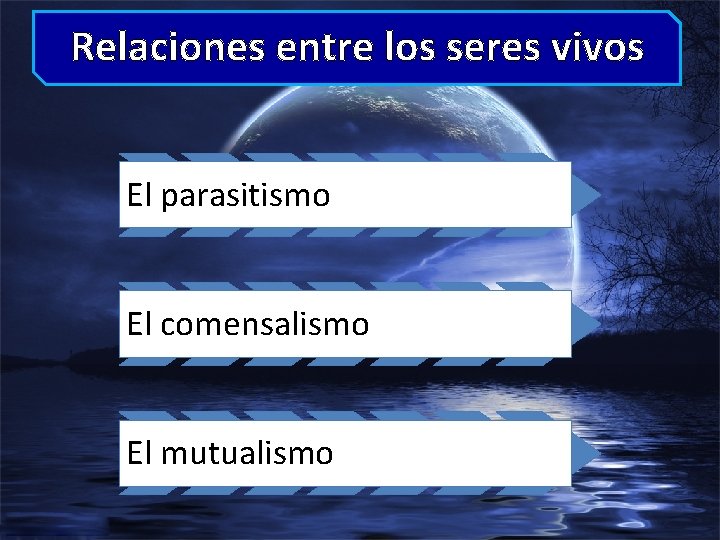 Relaciones entre los seres vivos El parasitismo El comensalismo El mutualismo 