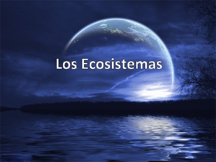 Los Ecosistemas 