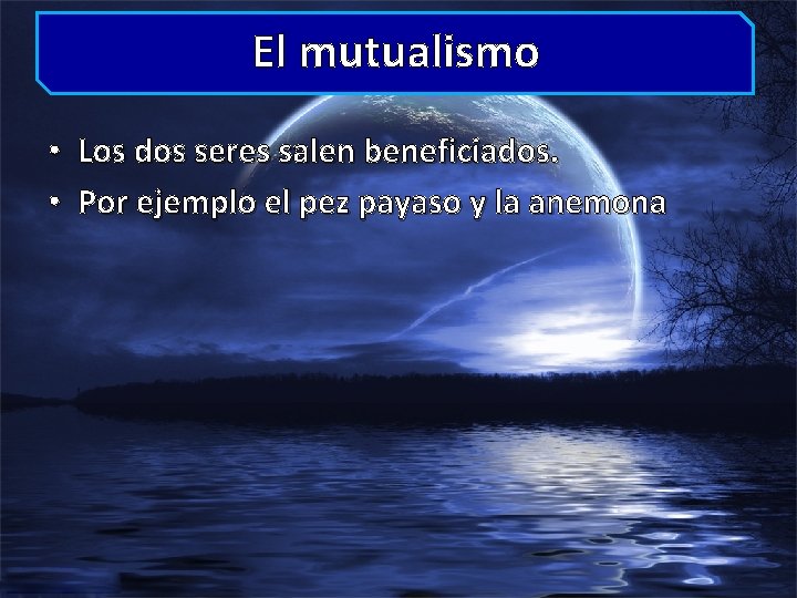 El mutualismo • Los dos seres salen beneficiados. • Por ejemplo el pez payaso