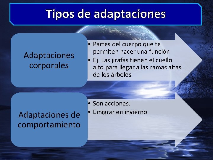 Tipos de adaptaciones Adaptaciones corporales Adaptaciones de comportamiento • Partes del cuerpo que te