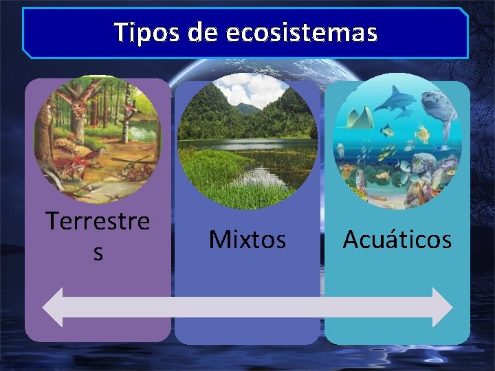 Tipos de ecosistemas Terrestre s Mixtos Acuáticos 