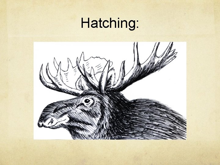Hatching: 
