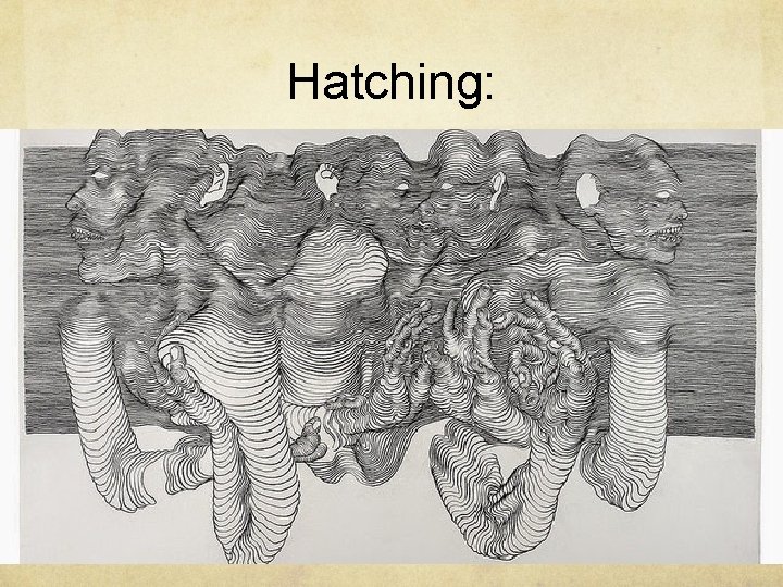 Hatching: 