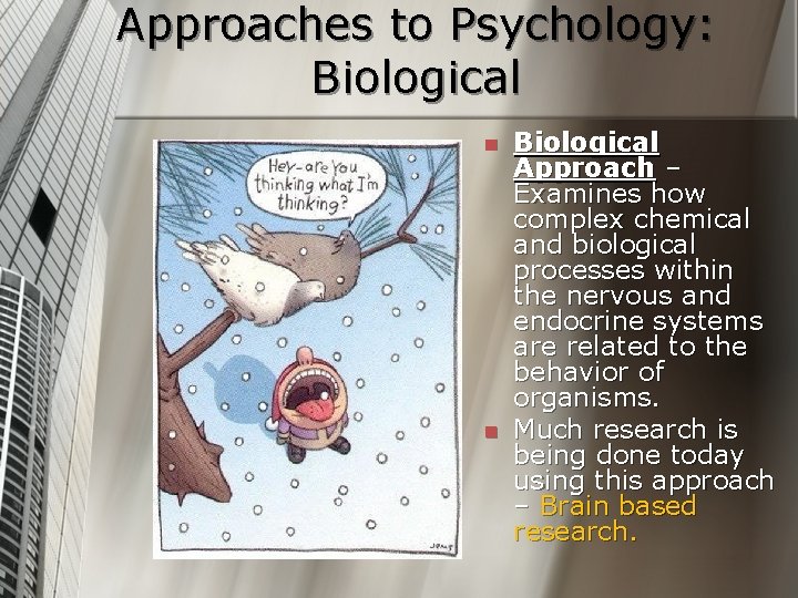 Approaches to Psychology: Biological n n Biological Approach – Examines how complex chemical and