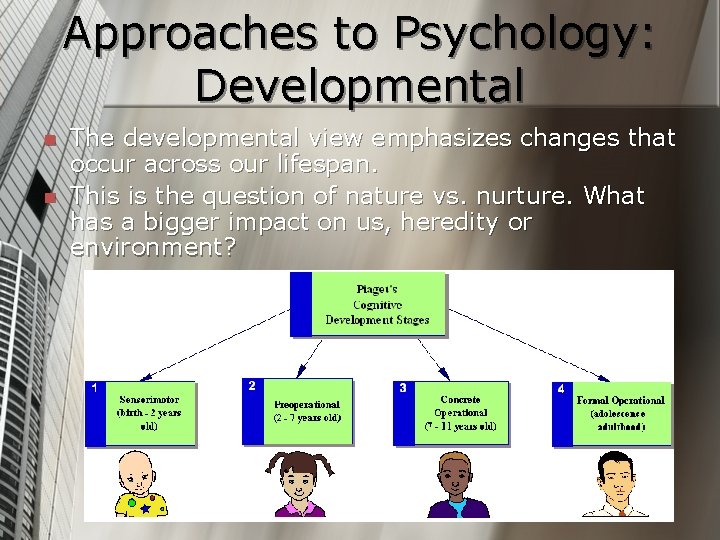 Approaches to Psychology: Developmental n n The developmental view emphasizes changes that occur across