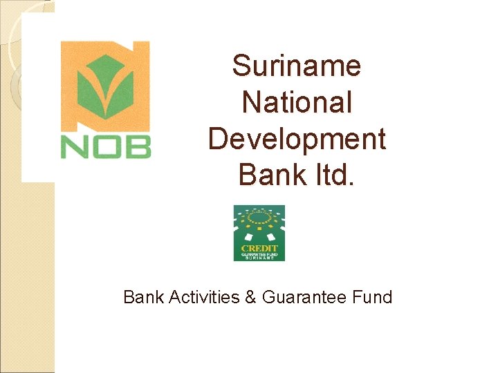 Suriname National Development Bank ltd. Bank Activities & Guarantee Fund 