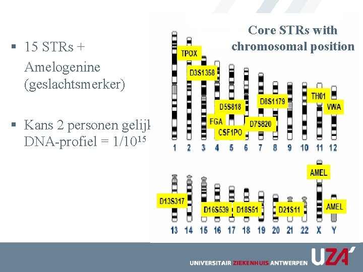 § 15 STRs + Amelogenine (geslachtsmerker) § Kans 2 personen gelijk DNA-profiel = 1/1015