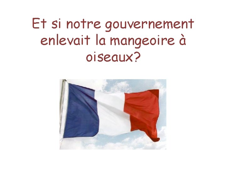 Et si notre gouvernement enlevait la mangeoire à oiseaux? 