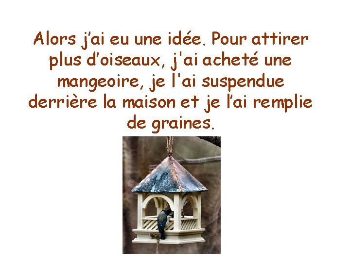 Alors j’ai eu une idée. Pour attirer plus d’oiseaux, j'ai acheté une mangeoire, je