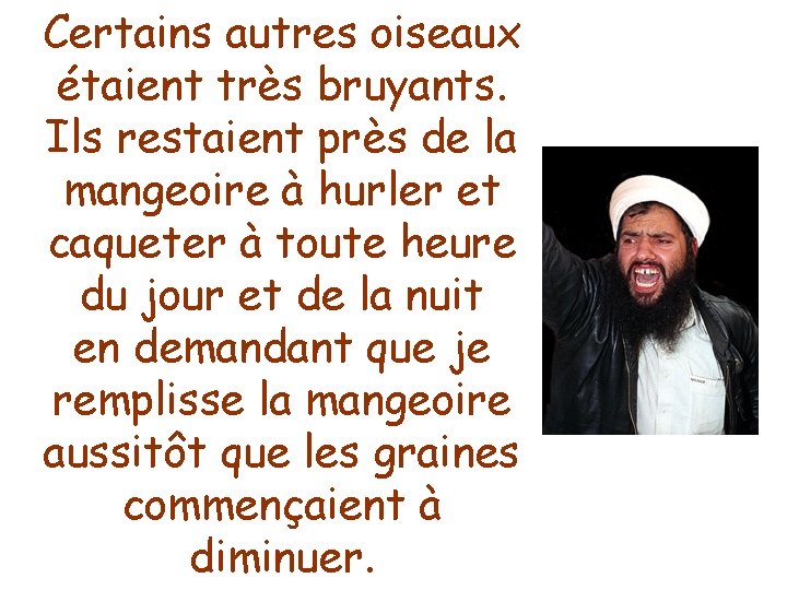 Certains autres oiseaux étaient très bruyants. Ils restaient près de la mangeoire à hurler
