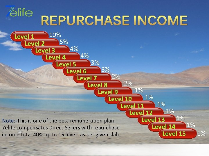 REPURCHASE INCOME 10% Level 1 5% Level 2 4% 5% 3 Level 4% Level
