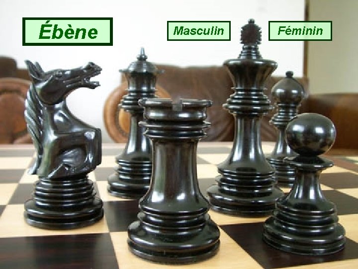 Ébène Masculin Féminin 