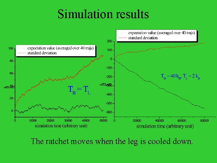 Simulation results The ratchet moves when the leg is cooled down. 
