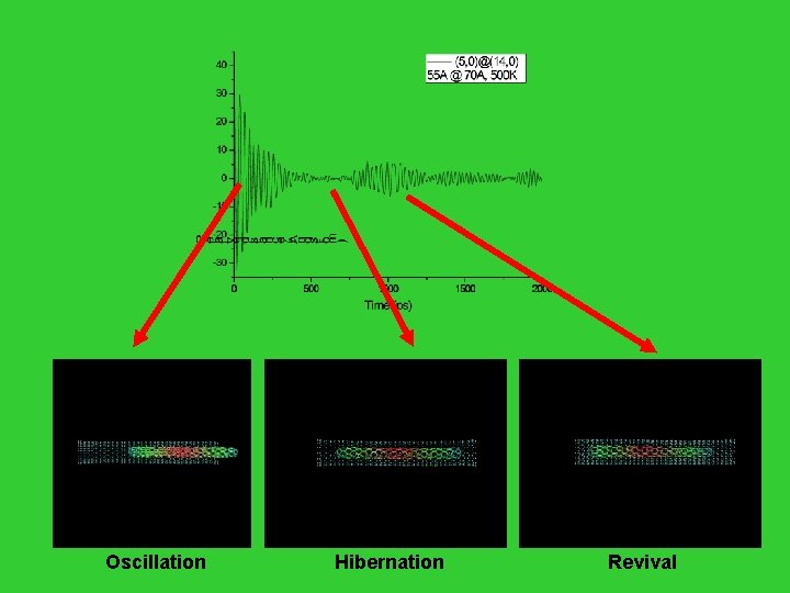 Oscillation Hibernation Revival 