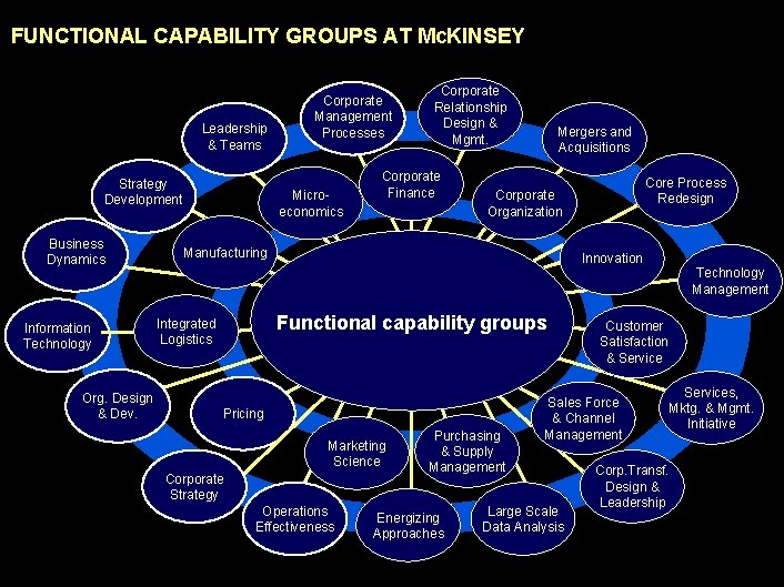 990617 BKZXW 380 WWGZ FUNCTIONAL CAPABILITY GROUPS AT Mc. KINSEY Leadership & Teams Strategy