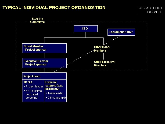 990617 BKZXW 380 WWGZ TYPICAL INDIVIDUAL PROJECT ORGANIZATION KEY ACCOUNT EXAMPLE Steering Committee CEO