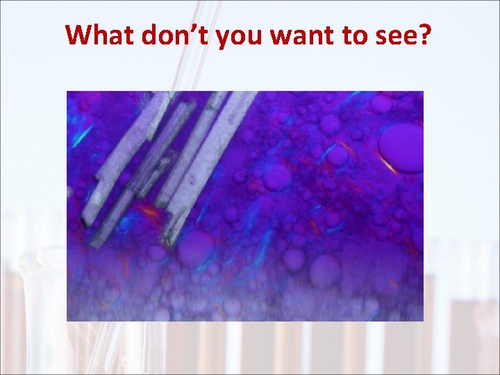 What don’t you want to see? 