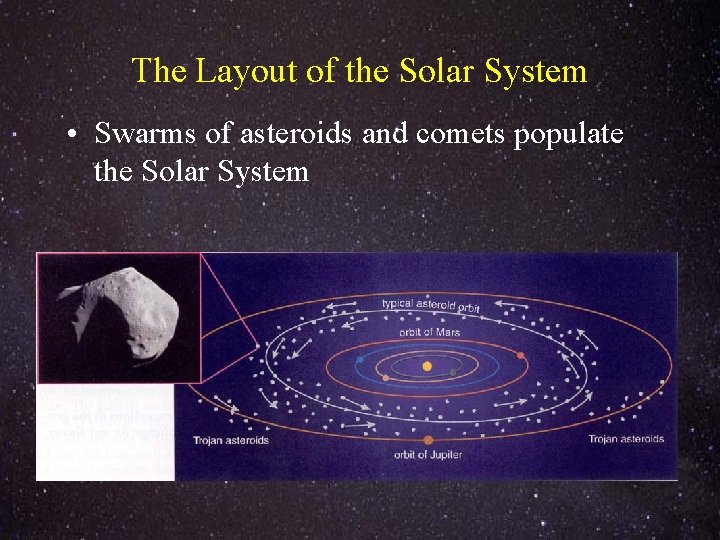 The Layout of the Solar System • Swarms of asteroids and comets populate the