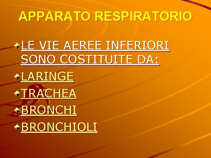 APPARATO RESPIRATORIO LE VIE AEREE INFERIORI SONO COSTITUITE DA: LARINGE TRACHEA BRONCHIOLI 