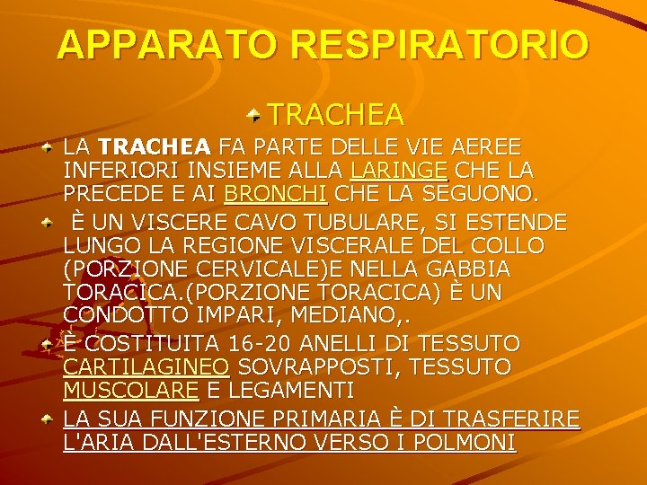 APPARATO RESPIRATORIO TRACHEA LA TRACHEA FA PARTE DELLE VIE AEREE INFERIORI INSIEME ALLA LARINGE APPARATO RESPIRATORIO TRACHEA LA TRACHEA FA PARTE DELLE VIE AEREE INFERIORI INSIEME ALLA LARINGE