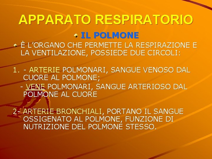 APPARATO RESPIRATORIO IL POLMONE È L’ORGANO CHE PERMETTE LA RESPIRAZIONE E LA VENTILAZIONE, POSSIEDE