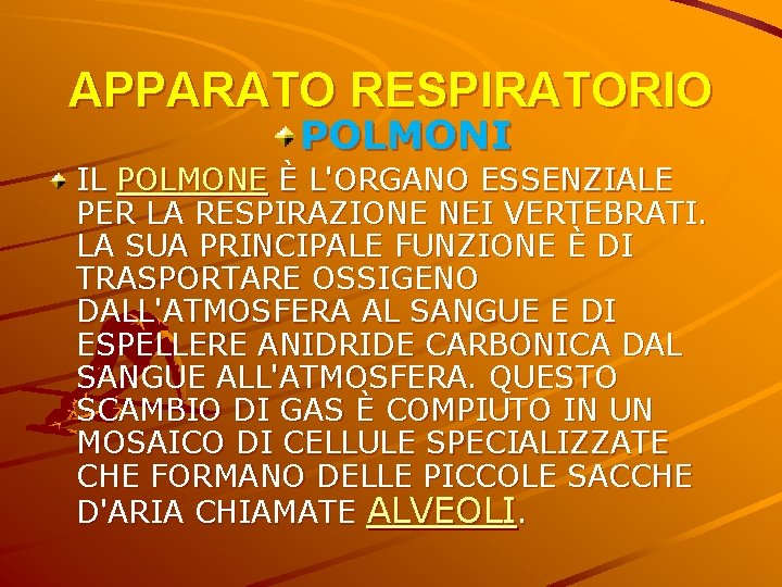 APPARATO RESPIRATORIO POLMONI IL POLMONE È L'ORGANO ESSENZIALE PER LA RESPIRAZIONE NEI VERTEBRATI. LA APPARATO RESPIRATORIO POLMONI IL POLMONE È L'ORGANO ESSENZIALE PER LA RESPIRAZIONE NEI VERTEBRATI. LA