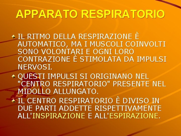 APPARATO RESPIRATORIO IL RITMO DELLA RESPIRAZIONE È AUTOMATICO, MA I MUSCOLI COINVOLTI SONO VOLONTARI