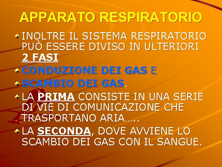 APPARATO RESPIRATORIO INOLTRE IL SISTEMA RESPIRATORIO PUÒ ESSERE DIVISO IN ULTERIORI 2 FASI CONDUZIONE APPARATO RESPIRATORIO INOLTRE IL SISTEMA RESPIRATORIO PUÒ ESSERE DIVISO IN ULTERIORI 2 FASI CONDUZIONE