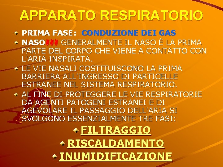 APPARATO RESPIRATORIO PRIMA FASE: CONDUZIONE DEI GAS NASOAAA GENERALMENTE IL NASO È LA PRIMA