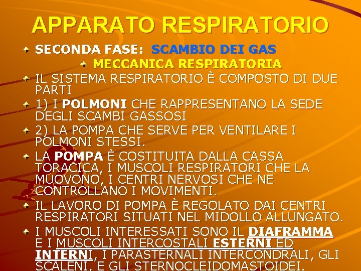 APPARATO RESPIRATORIO SECONDA FASE: SCAMBIO DEI GAS MECCANICA RESPIRATORIA IL SISTEMA RESPIRATORIO È COMPOSTO APPARATO RESPIRATORIO SECONDA FASE: SCAMBIO DEI GAS MECCANICA RESPIRATORIA IL SISTEMA RESPIRATORIO È COMPOSTO