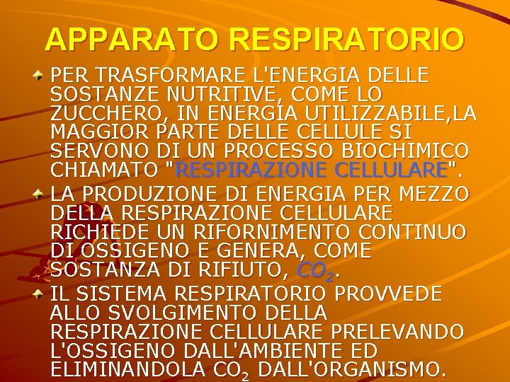 APPARATO RESPIRATORIO PER TRASFORMARE L'ENERGIA DELLE SOSTANZE NUTRITIVE, COME LO ZUCCHERO, IN ENERGIA UTILIZZABILE, APPARATO RESPIRATORIO PER TRASFORMARE L'ENERGIA DELLE SOSTANZE NUTRITIVE, COME LO ZUCCHERO, IN ENERGIA UTILIZZABILE,