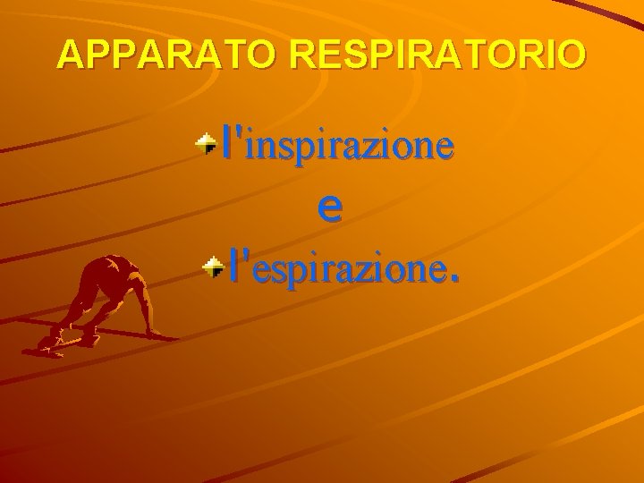 APPARATO RESPIRATORIO l'inspirazione e l'espirazione. 