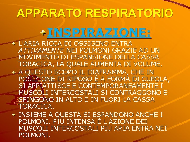 APPARATO RESPIRATORIO INSPIRAZIONE: L'ARIA RICCA DI OSSIGENO ENTRA ATTIVAMENTE NEI POLMONI GRAZIE AD UN APPARATO RESPIRATORIO INSPIRAZIONE: L'ARIA RICCA DI OSSIGENO ENTRA ATTIVAMENTE NEI POLMONI GRAZIE AD UN