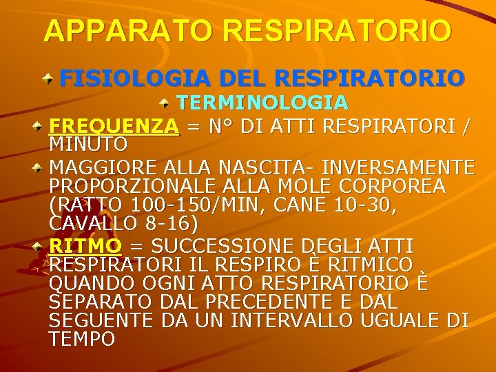 APPARATO RESPIRATORIO FISIOLOGIA DEL RESPIRATORIO TERMINOLOGIA FREQUENZA = N° DI ATTI RESPIRATORI / MINUTO