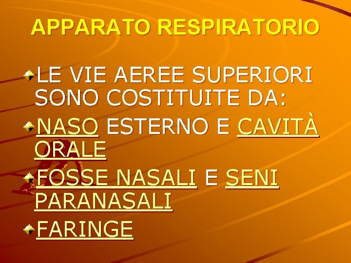 APPARATO RESPIRATORIO LE VIE AEREE SUPERIORI SONO COSTITUITE DA: NASO ESTERNO E CAVITÀ ORALE