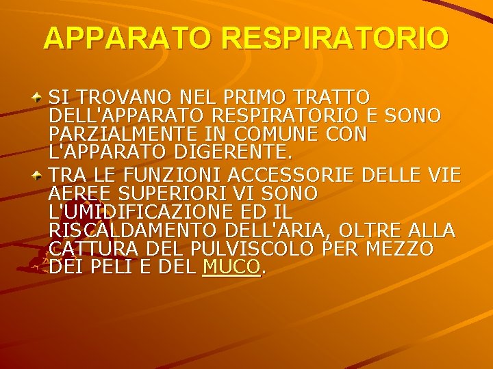 APPARATO RESPIRATORIO SI TROVANO NEL PRIMO TRATTO DELL'APPARATO RESPIRATORIO E SONO PARZIALMENTE IN COMUNE APPARATO RESPIRATORIO SI TROVANO NEL PRIMO TRATTO DELL'APPARATO RESPIRATORIO E SONO PARZIALMENTE IN COMUNE