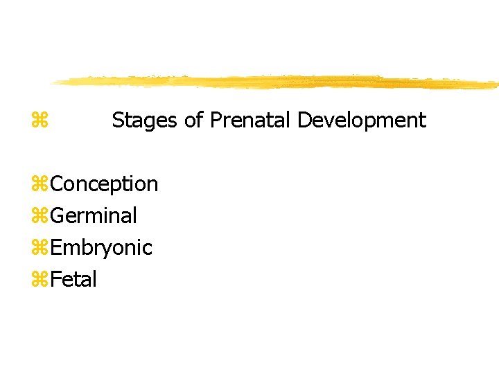  z Stages of Prenatal Development z. Conception z. Germinal z. Embryonic z. Fetal