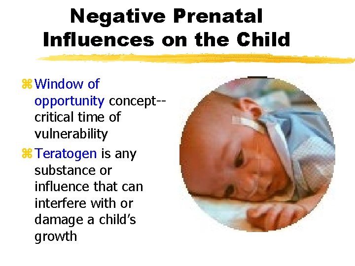 Negative Prenatal Influences on the Child z Window of opportunity concept-critical time of vulnerability