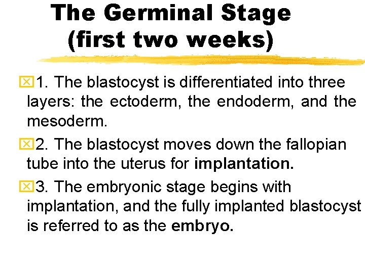 The Germinal Stage (first two weeks) x 1. The blastocyst is differentiated into three