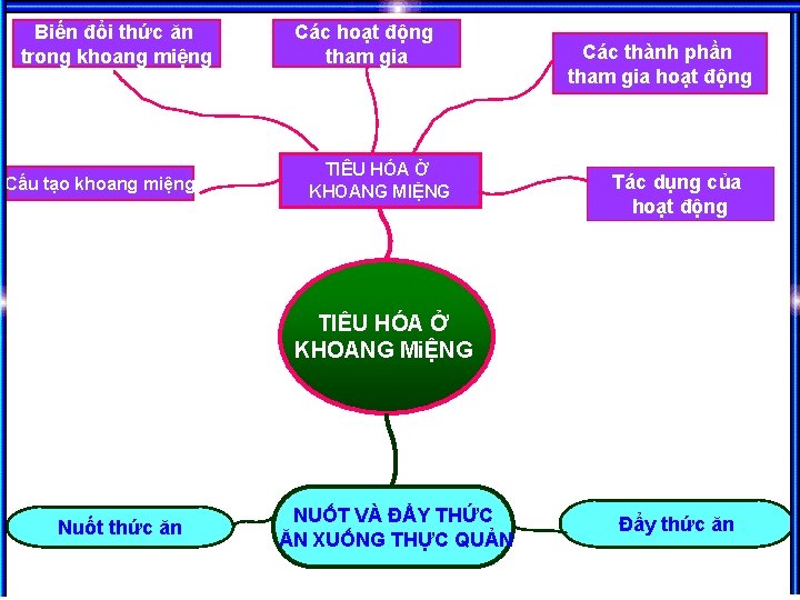 Biến đổi thức ăn trong khoang miệng Cấu tạo khoang miệng Các hoạt động Biến đổi thức ăn trong khoang miệng Cấu tạo khoang miệng Các hoạt động