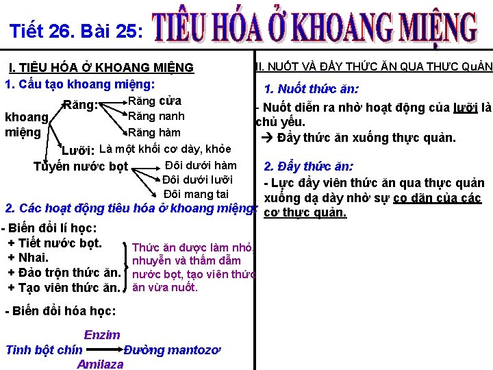 Tiết 26. Bài 25: I. TIÊU HÓA Ở KHOANG MIỆNG 1. Cấu tạo khoang