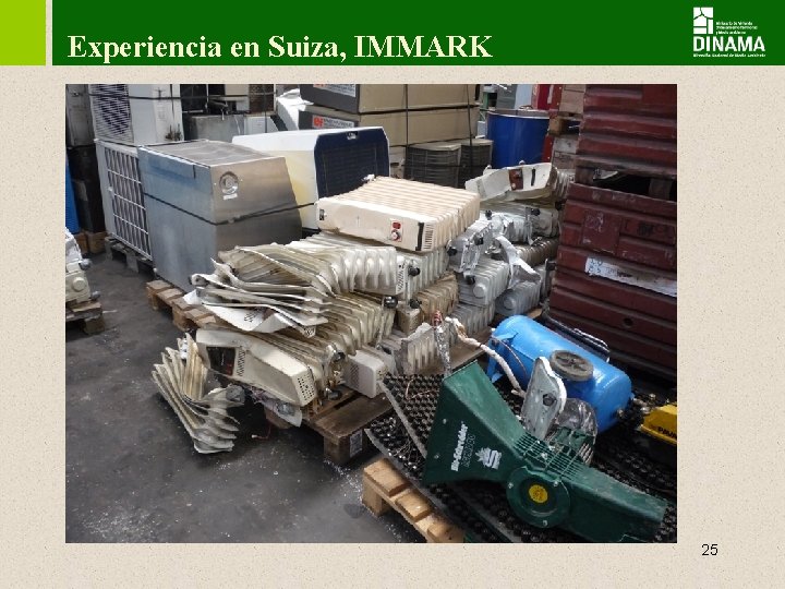 Experiencia en Suiza, IMMARK 25 