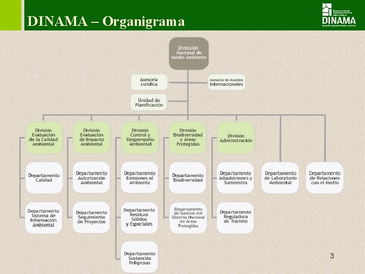 DINAMA – Organigrama 3 